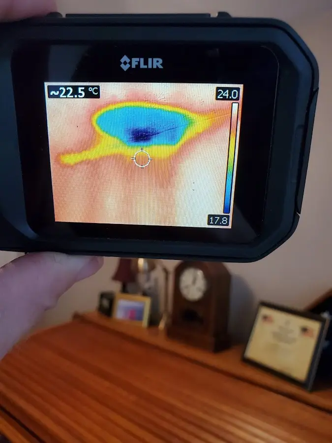 Thermal imaging inspection for water damage in Washington